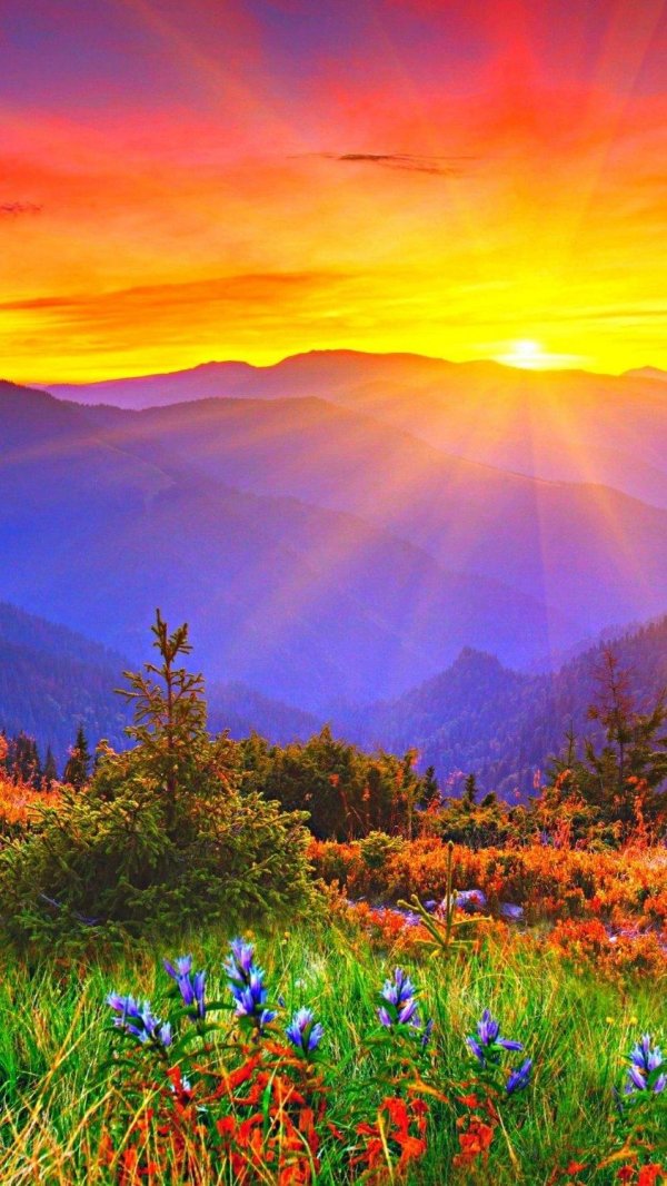 красивейшие пейзажи