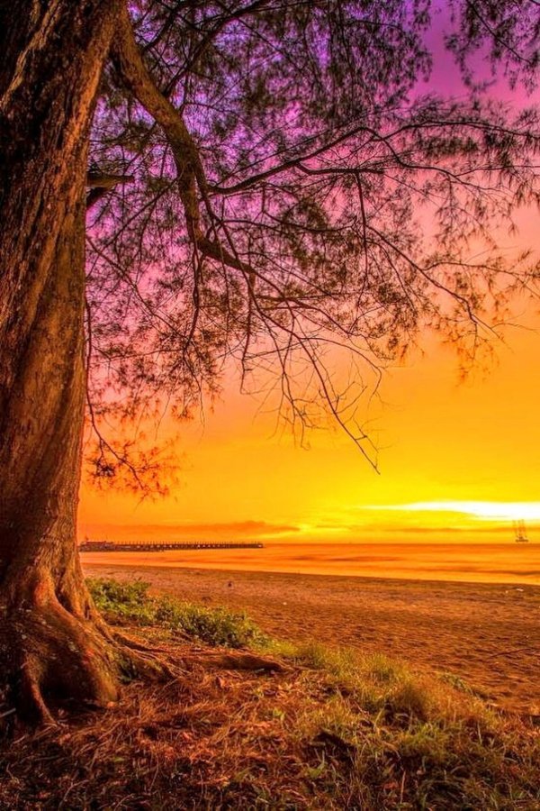 красивые рассветы