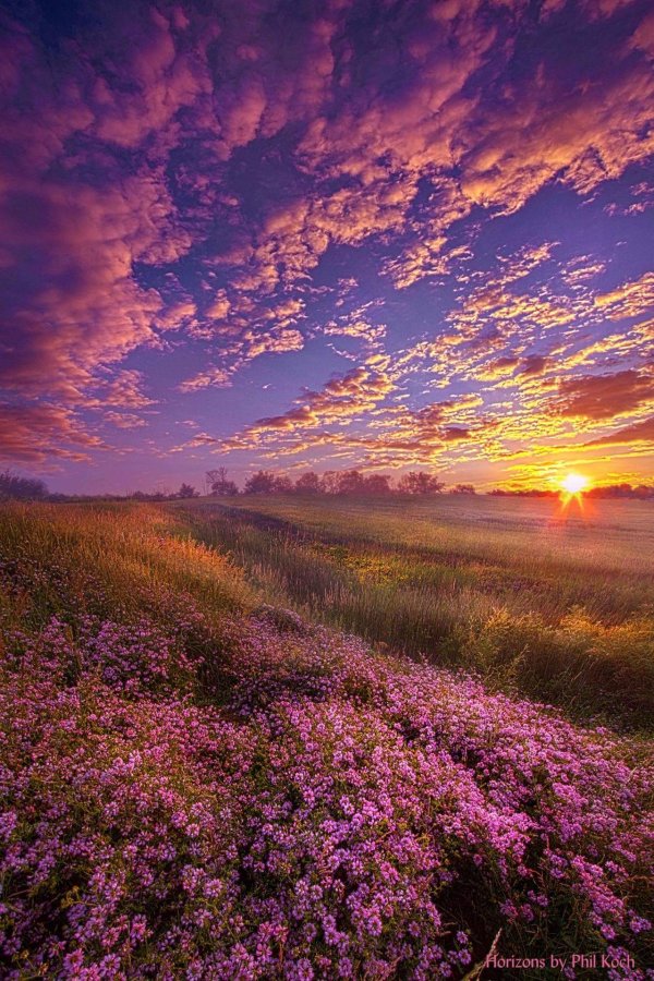 красивые рассветы