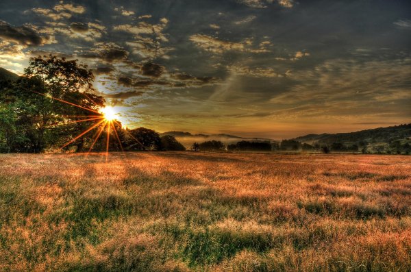 солнце над полем