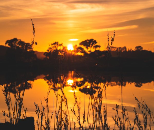 солнца рассвет