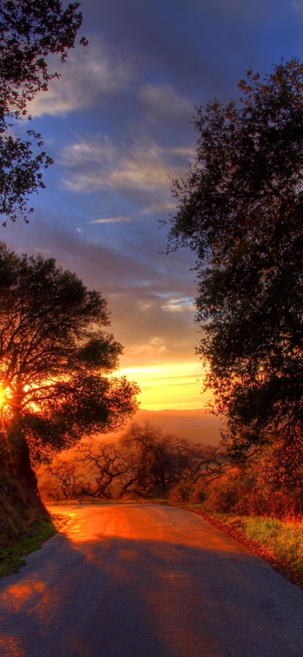 пейзажи красивые