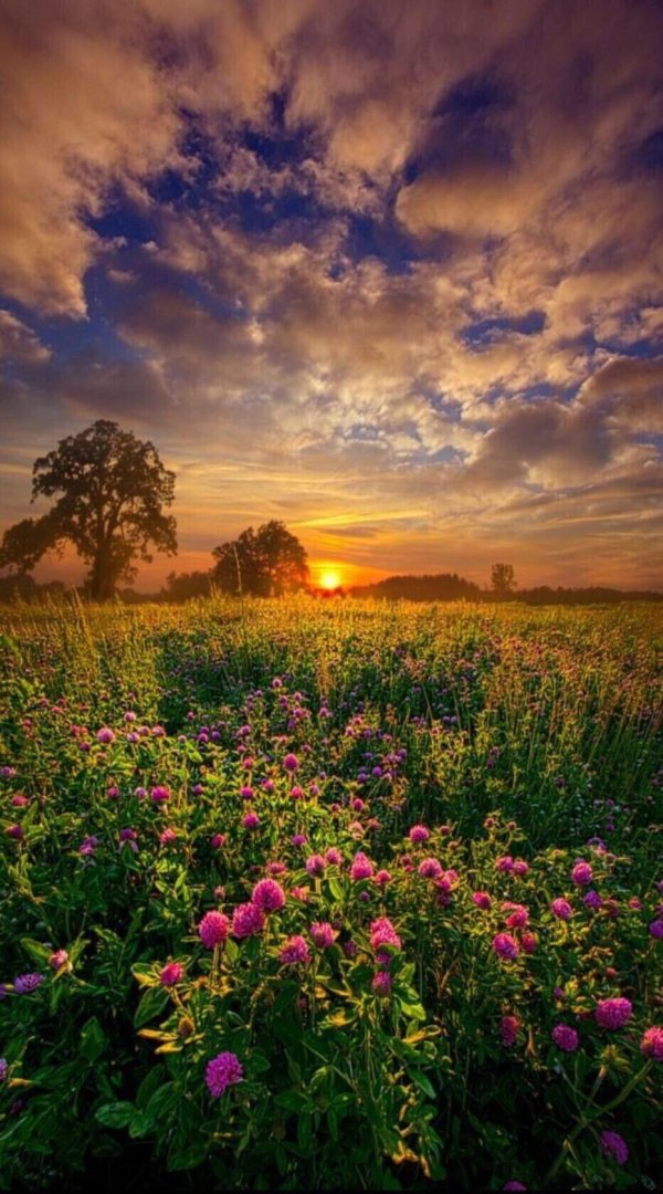 красивые рассветы