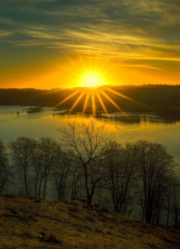 красивое солнце