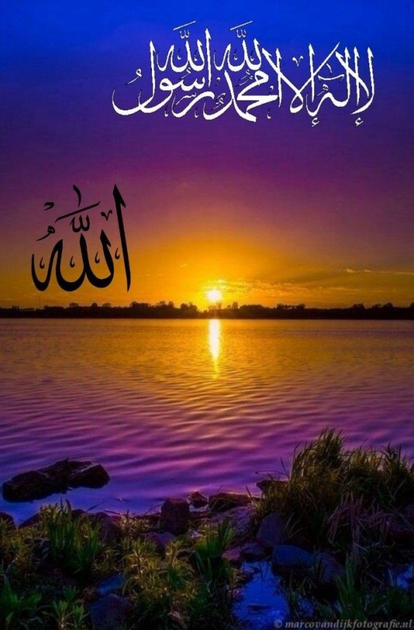 картины мусульманские