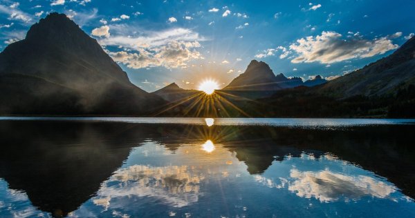 в солнечных лучах