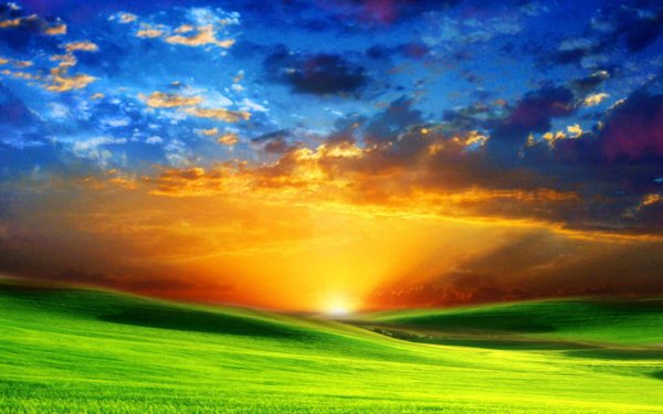 яркая природа