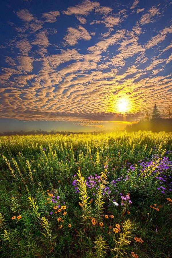 красивые рассветы