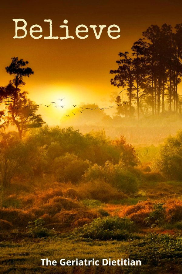 лес рассвет