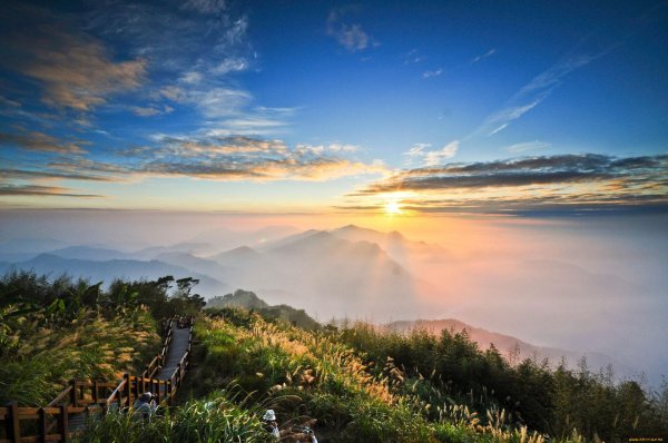 алишань тайвань