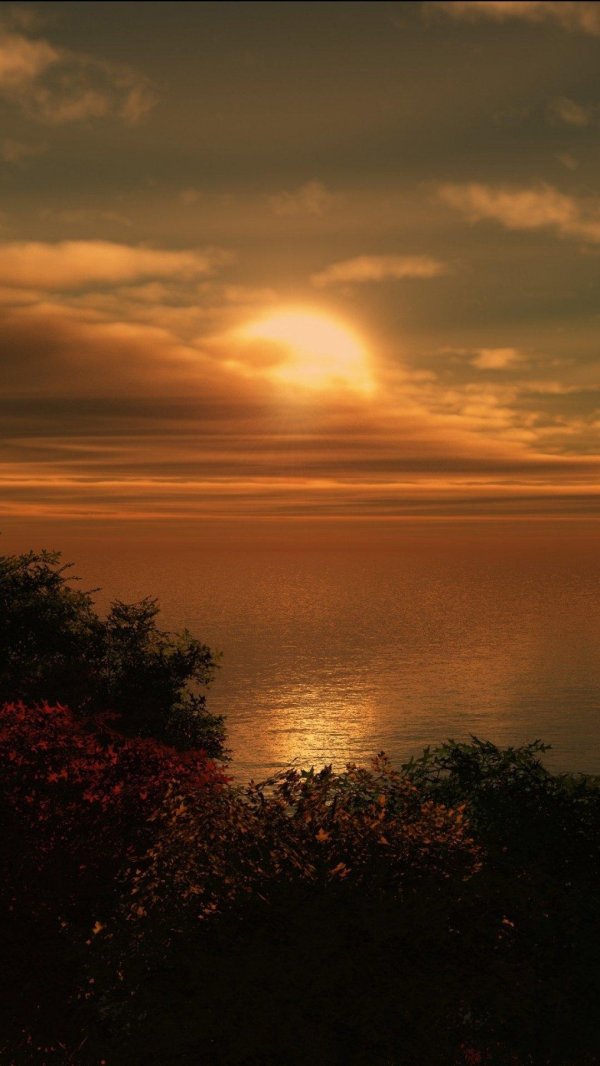 красивые рассветы