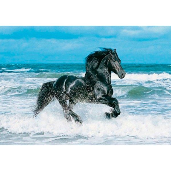 черная лошадь