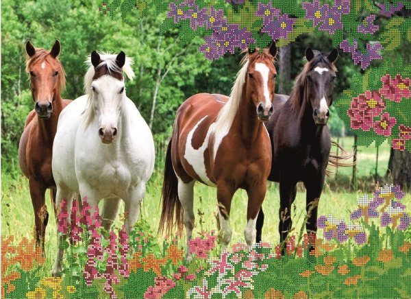 много лошадей