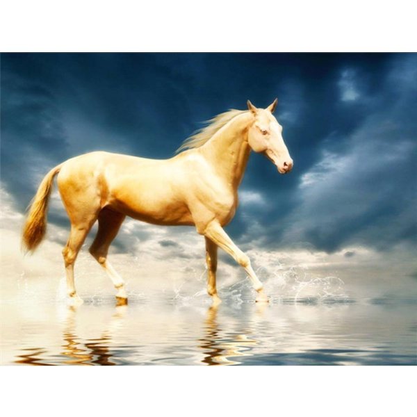 изабелловая масть ахалтекинец