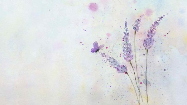 лаванда акварель