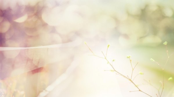 весенние фоны