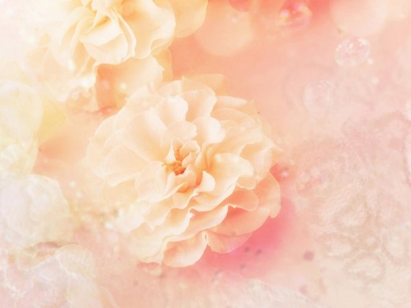 нежные фоны