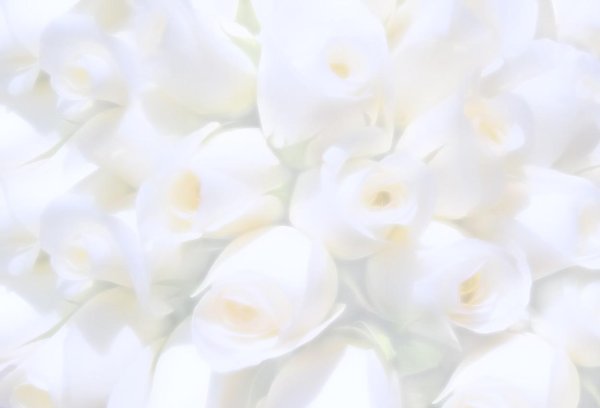 свадебный фон