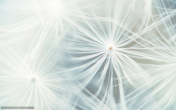 абстракция светлая