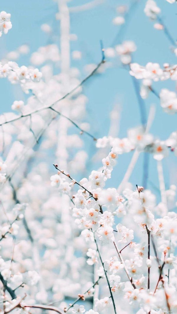 весна красивая