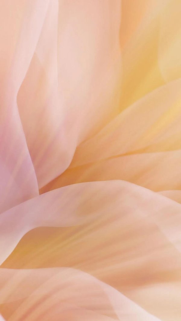 персиковый фон