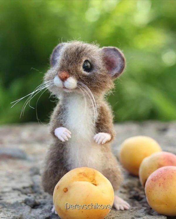 войлочные мышки