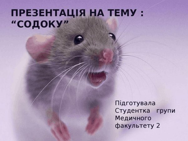 крыска дамбо