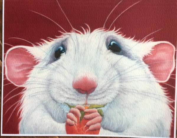 белые крысы картины