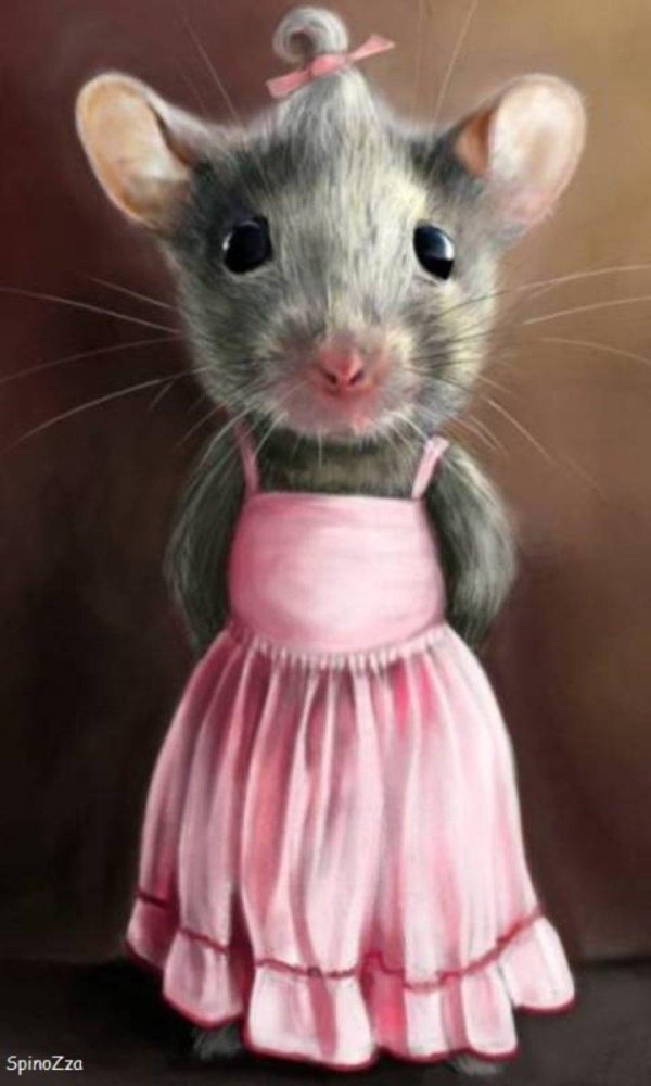 смешные мышки