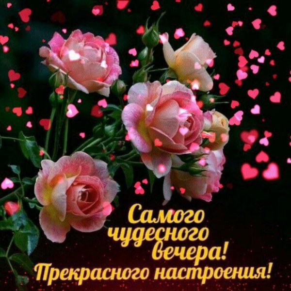 радостного вечера