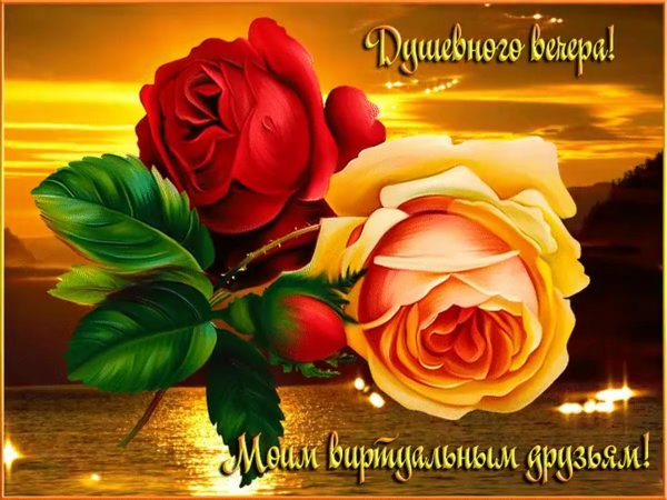 И вам доброго вечера с цветами