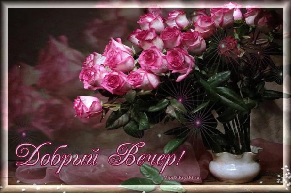 цветы добрый вечер