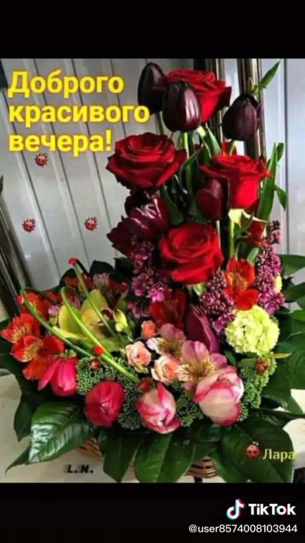 букет цветов красивые