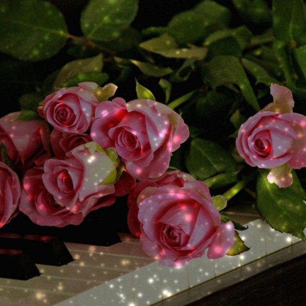 рояль цветы