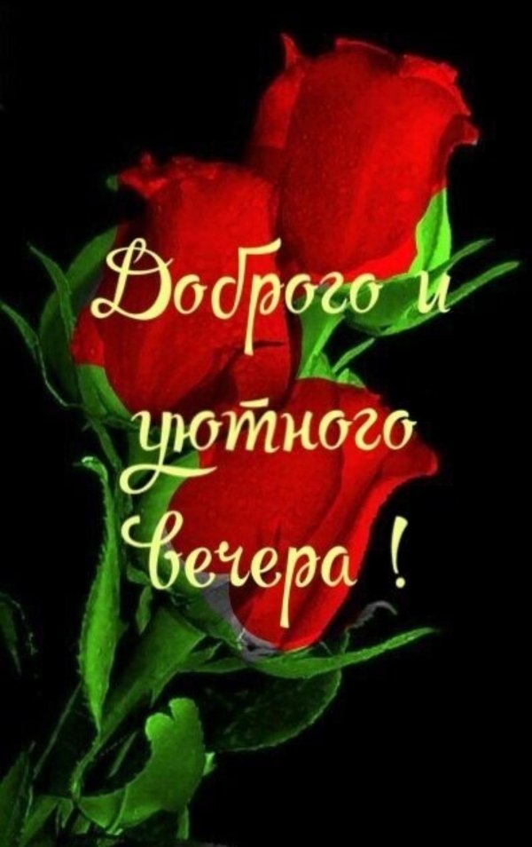 розы тюльпаны