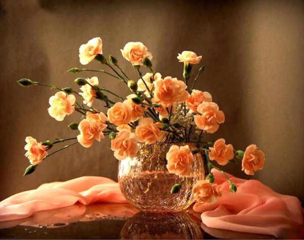 натюрморт гвоздики