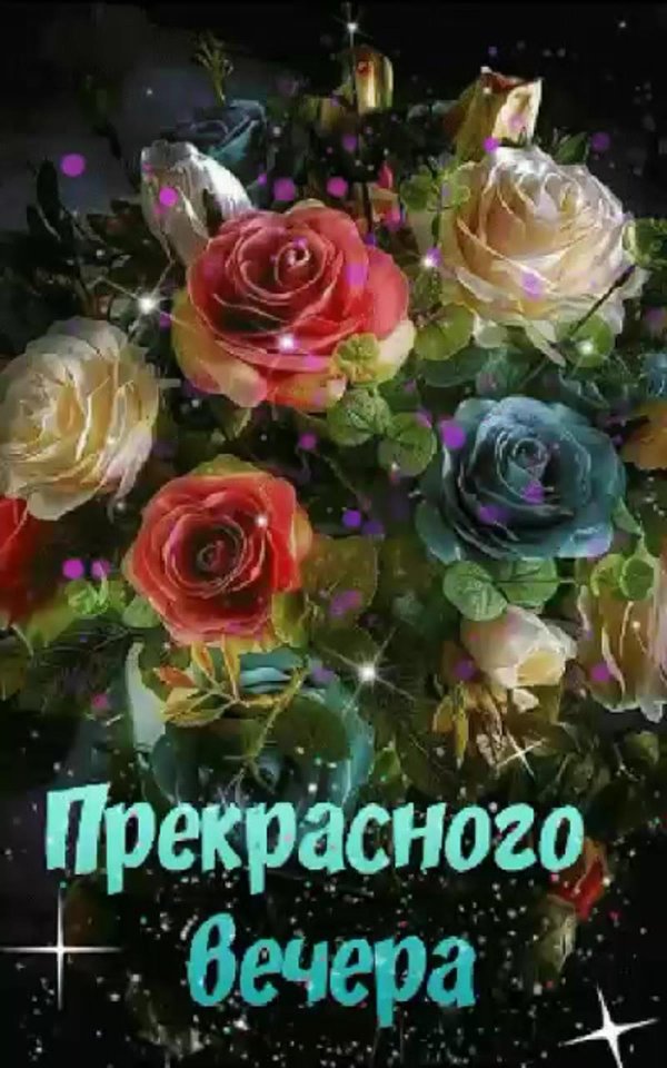 прекрасно вечера