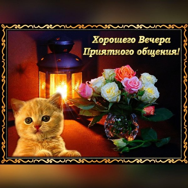 с хорошим вечером