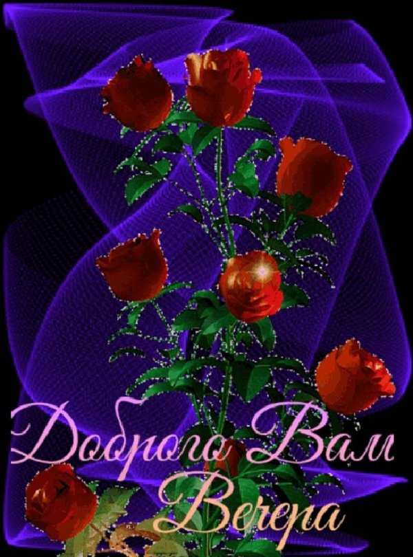 с добрым вечером открытка