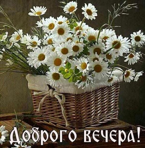 букет ромашек