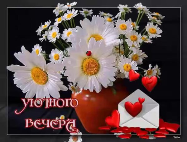 добрый вечер смромашками