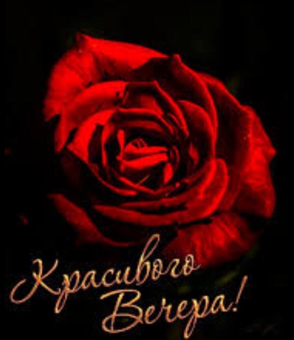 отличного вечера