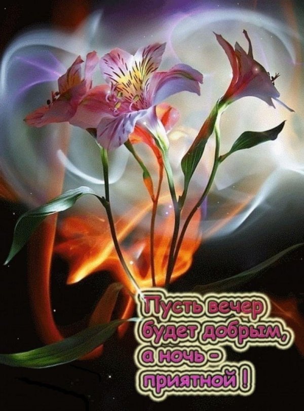 прекрасно вечера