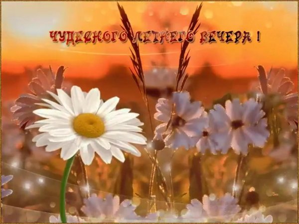 чудесного летнего вечера