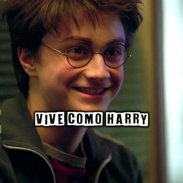 фотографии гарри поттера