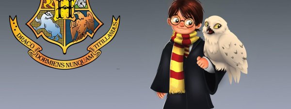 букля из гарри поттера