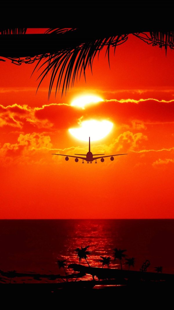 закат с пальмами