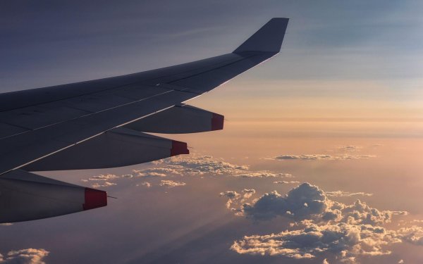 крылья самолета