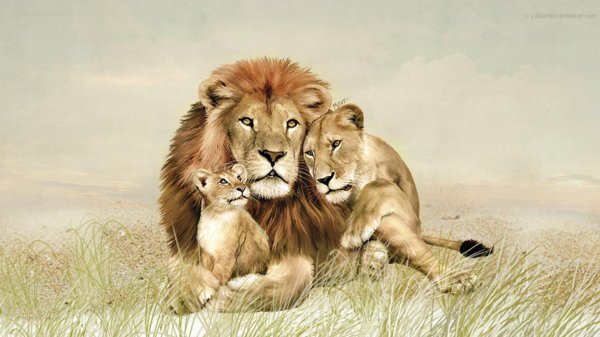 картина лев с семьёй