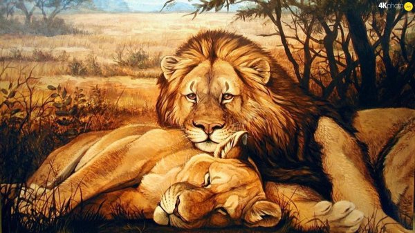 картины льва